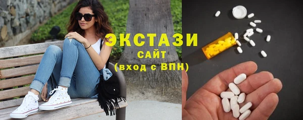 крисы Бородино