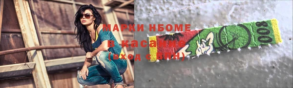 крисы Бородино