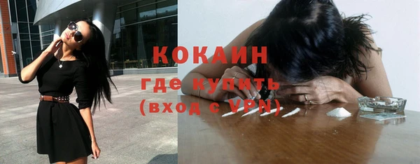 прущие грибы Богданович