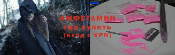 прущие грибы Богданович