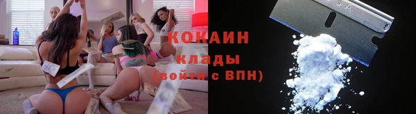 прущие грибы Богданович