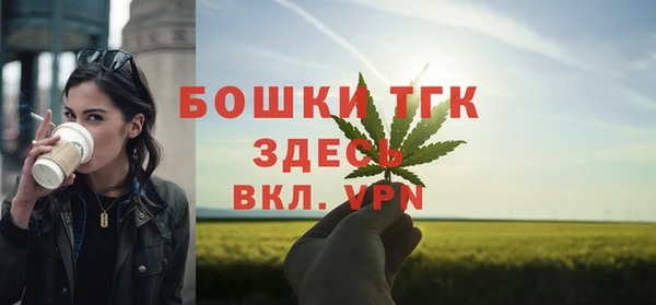 mdpv Богородск