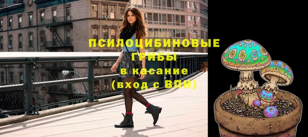 крисы Бородино