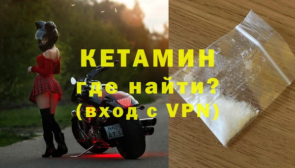 крисы Бородино