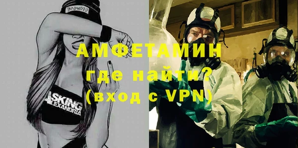 крисы Бородино