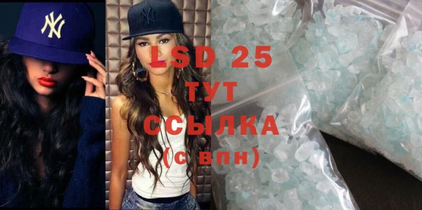 крисы Бородино