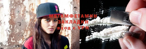 крисы Бородино