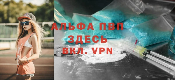 сатива Бронницы
