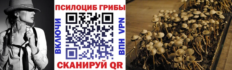даркнет какой сайт  Мезень  блэк спрут ТОР  Псилоцибиновые грибы Psilocybe  наркошоп 